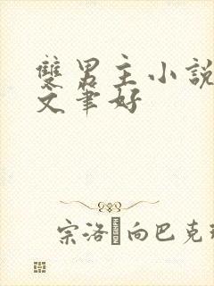 双男主小说推荐文笔好