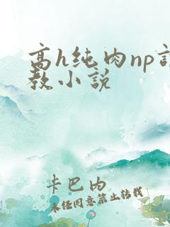 高h纯肉np调教小说