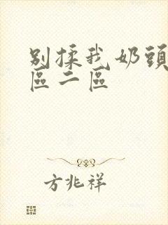 别揉我奶头嗯一区二区