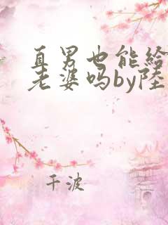 直男也能给人当老婆吗by陆酌言小说