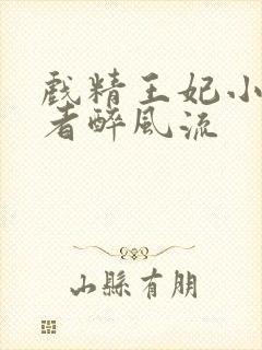 戏精王妃小说作者醉风流