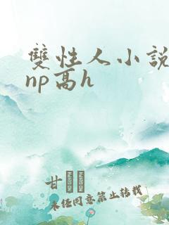 双性人小说纯肉np高h