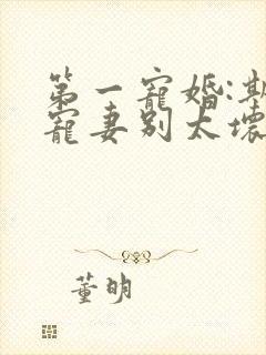 第一宠婚:斯少宠妻别太坏