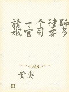 请一个律师打婚姻官司要多少钱