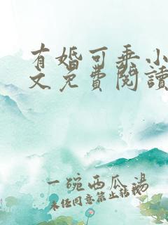 有婚可乘小说全文免费阅读