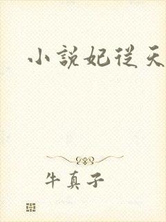 小说妃从天降