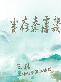 小丈夫电视剧免费43集播放