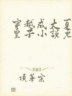 穿越成大夏国九皇子小说免费阅读