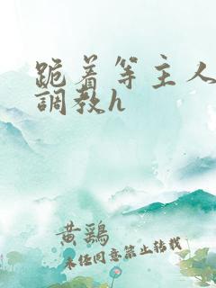 跪着等主人回家调教h