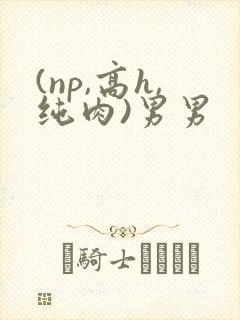 (np,高h,纯肉)男男