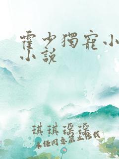 霍少独宠小娇妻小说