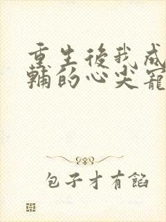 重生后我成了首辅的心尖宠