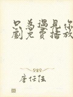 只为遇见你电视剧免费播放