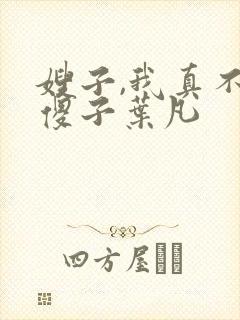 嫂子,我真不是傻子叶凡