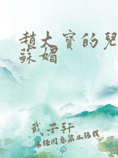 赵大宝的儿媳妇苏媚