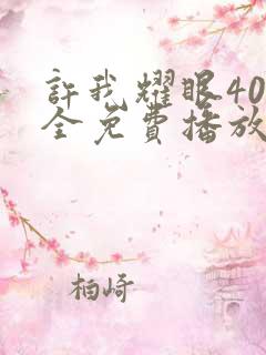 许我耀眼40集全免费播放