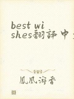 best wishes翻译中文