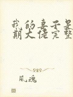 我的妻子是大乘期大佬完整版下载