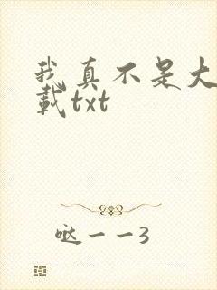 我真不是大佬下载txt