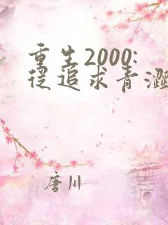 重生2000:从追求青涩校花同桌开始三部关系