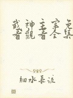 武神主宰免费观看观看全集高清版