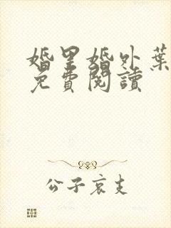 婚里婚外叶晓井免费阅读