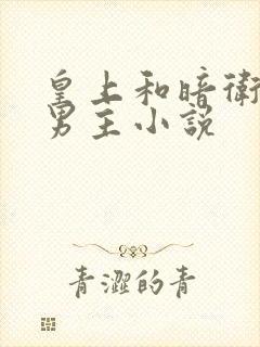 皇上和暗卫的双男主小说