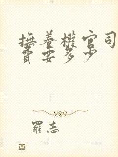 抚养权官司律师费要多少