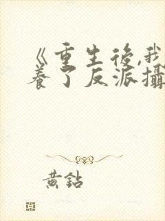 《重生后,我娇养了反派摄政王》