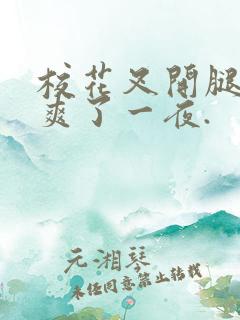 校花叉开腿让我爽了一夜.