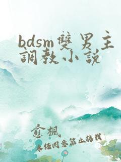 bdsm双男主调教小说