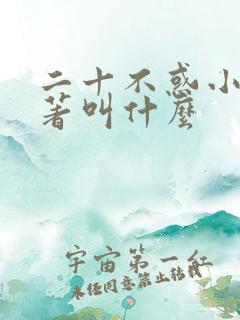 二十不惑小说原著叫什么