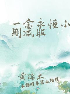 一念永恒小说无删减版