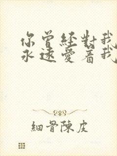 你曾经对我说会永远爱着我是什么歌