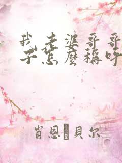 我老婆哥哥的儿子怎么称呼