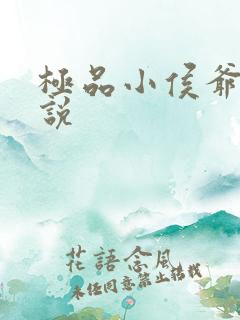 极品小侯爷的小说
