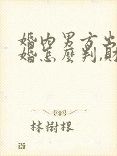 婚内男方出轨离婚怎么判,财产怎么分