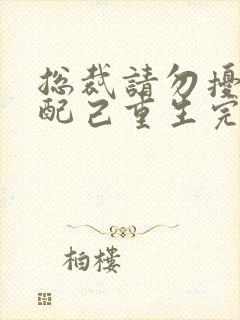 总裁请勿扰,原配己重生完整txt下载