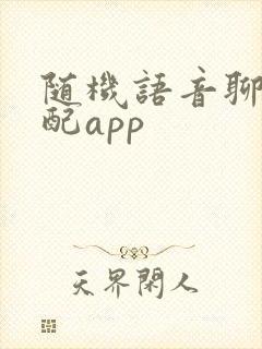 随机语音聊天匹配app