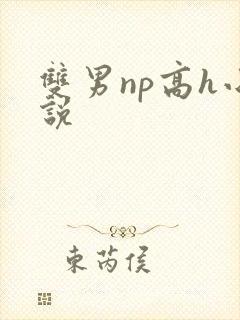 双男np高h小说
