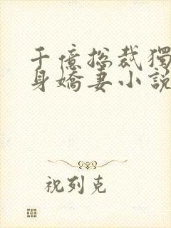 千亿总裁独宠替身娇妻小说完整