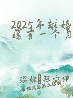 2025年离婚还有一个月冷静期吗