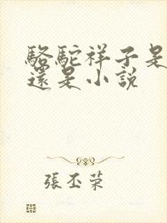 骆驼祥子是散文还是小说