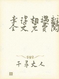 幸得相遇离婚时全文免费阅读小说