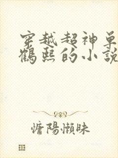 穿越超神单女主鹤熙的小说