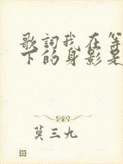 歌词我在等你留下的身影是什么歌