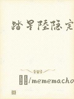 踏星陆隐完结版