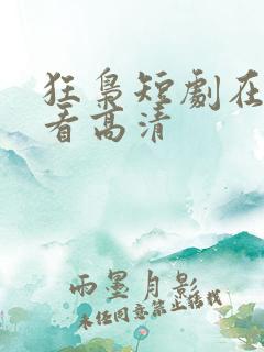 狂枭短剧在线观看高清