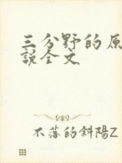 三分野的原著小说全文