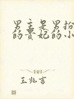 男主是男扮女装的贵妃的小说